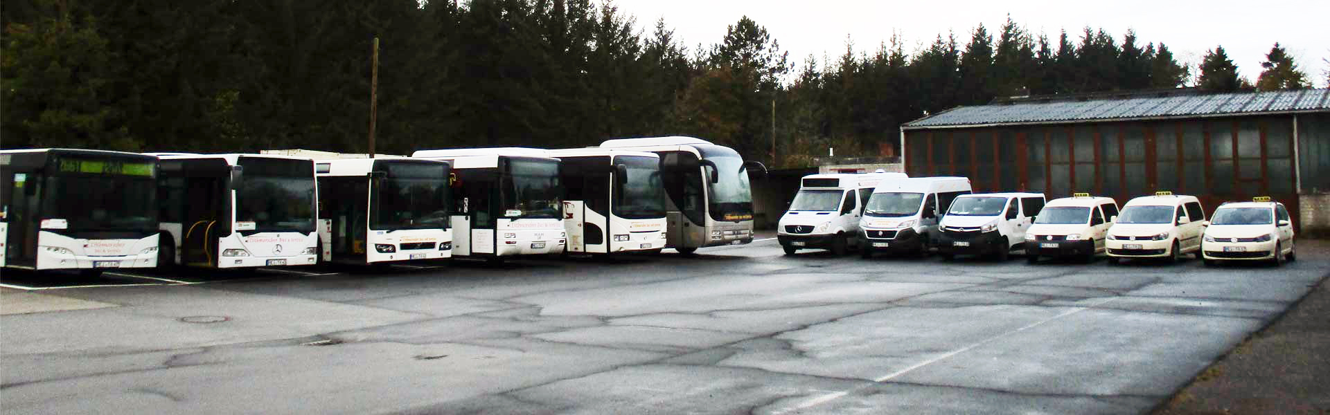 Dithmarscher Bus und Service Busflotte