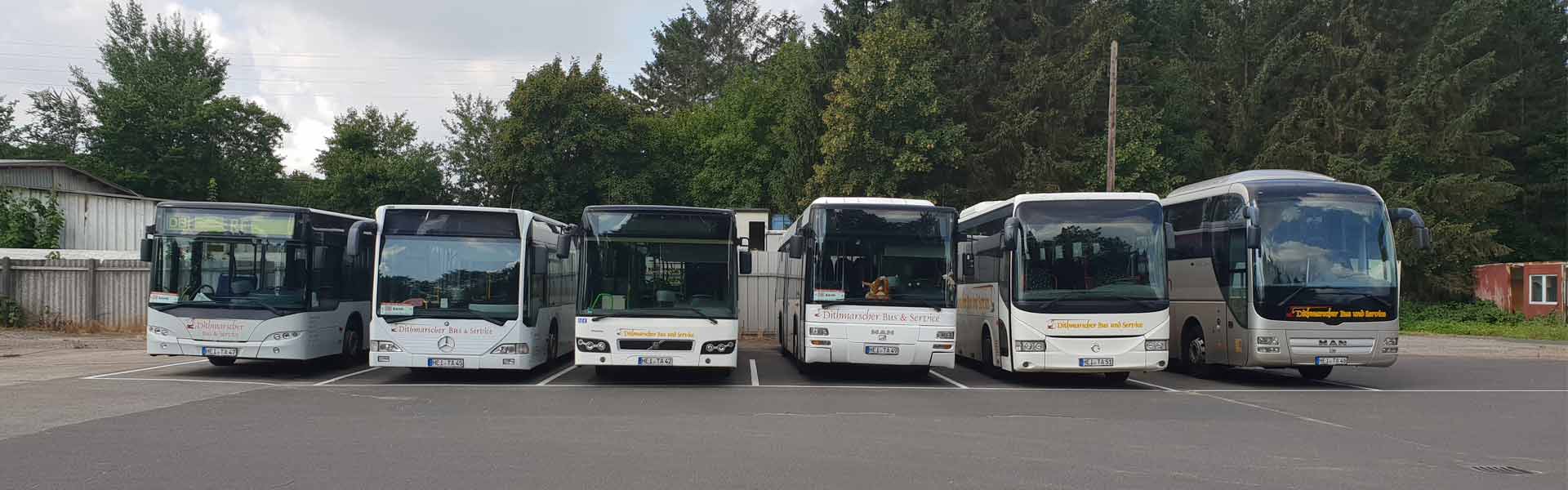 Dithmarscher Bus und Service Busflotte